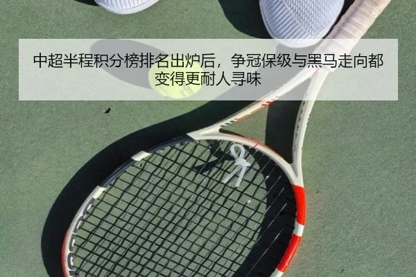 中超半程积分榜排名出炉后，争冠保级与黑马走向都变得更耐人寻味 - maiqiuzhan